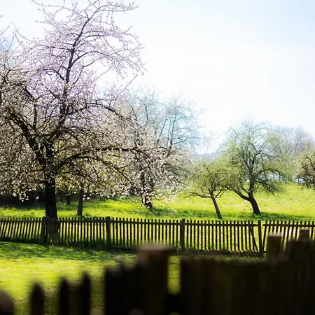 酒店 安托尼斯舒特酒店
