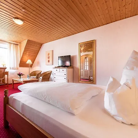 Hotel Antoniushuette Balve