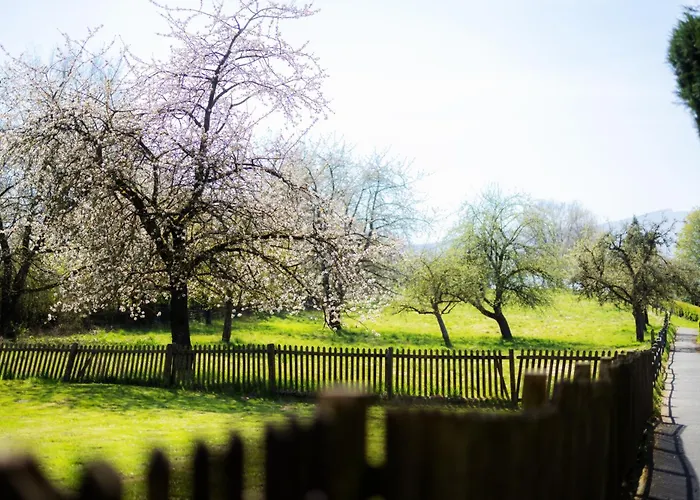 ホテル Antoniushuette